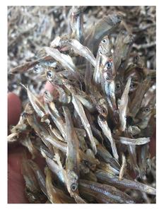 POISSON ANCHOIS SÉCHÉS DU VIETNAM SPRATS DE HAUTE QUALITÉ/MEILLEUR PRIX ANCHOIS PRÊT POUR L'EXPORTATION - Product Image 3