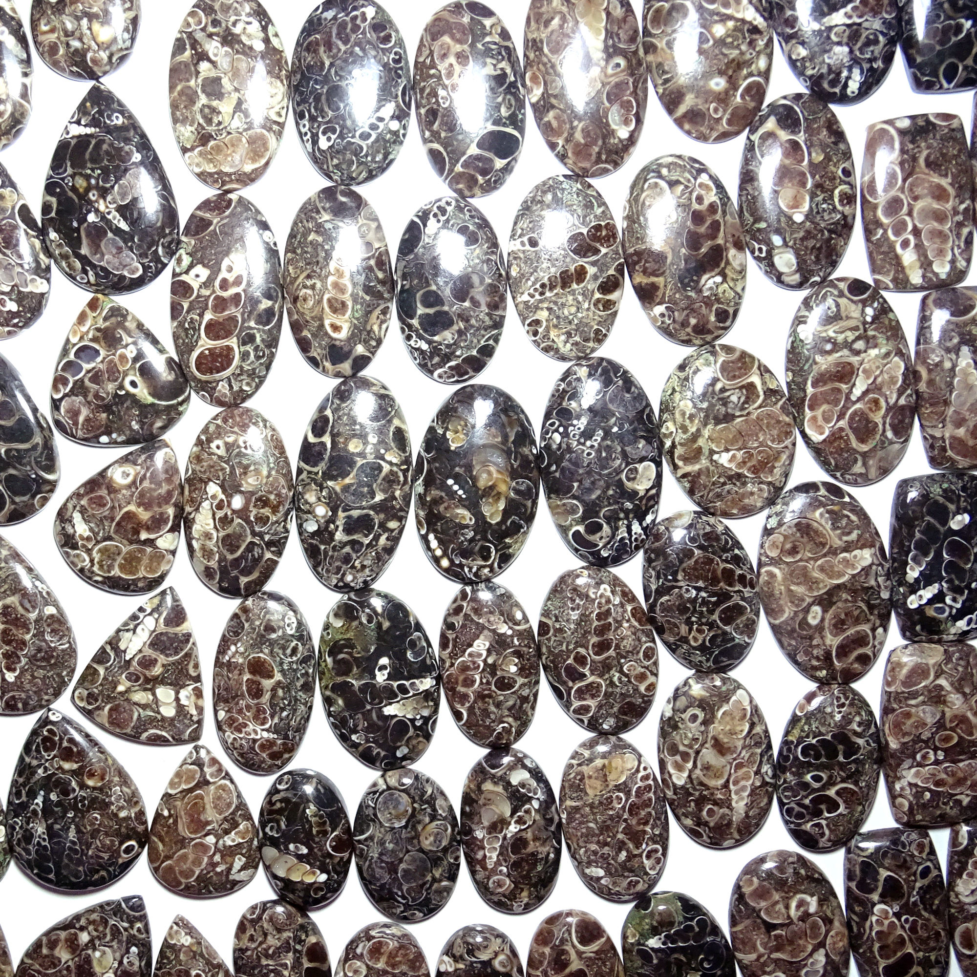 Como se muestra en la imagen