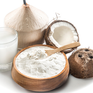 Poudre de noix de coco biologique végétalienne de qualité supérieure, crème blanche, lait en poudre, qualité alimentaire, en vrac - Product Image 1