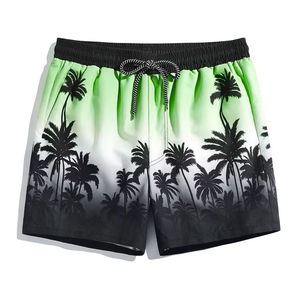 Short en maille de haute qualité hommes Short de basket-ball pour hommes pour hommes maille avec poche High Street Hip-Hop dernière coupe décontractée - Product Image 2