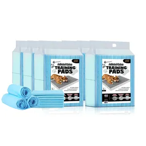 2024 Nieuw Ontwerp Huisdier Trainingspads Voor Honden En Puppy Wegwerp Basics Pet Plas Wc Pads Hoge Absorptie Oem Fabriek