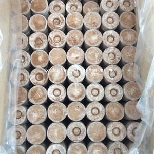 Juego de Pellets de Fibra de Coco en Malla / Turba de Coco Orgánica, Discos de Fibra de Coco Jiffy de 42 mm y 35 mm, Precio Económico para Plántulas Agrícolas - Product Image 6
