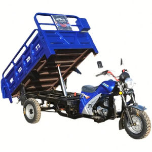 Triciclo Eléctrico de Carga con Parabrisas, Carrocería Abierta de 3 Ruedas para Transporte de Productos Agrícolas, Gran Capacidad de Carga - Product Image 2