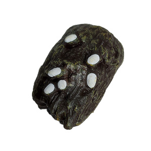 Cycle de croissance des cigales Un voyage vibrant de vie et de renouveau - Product Image 5