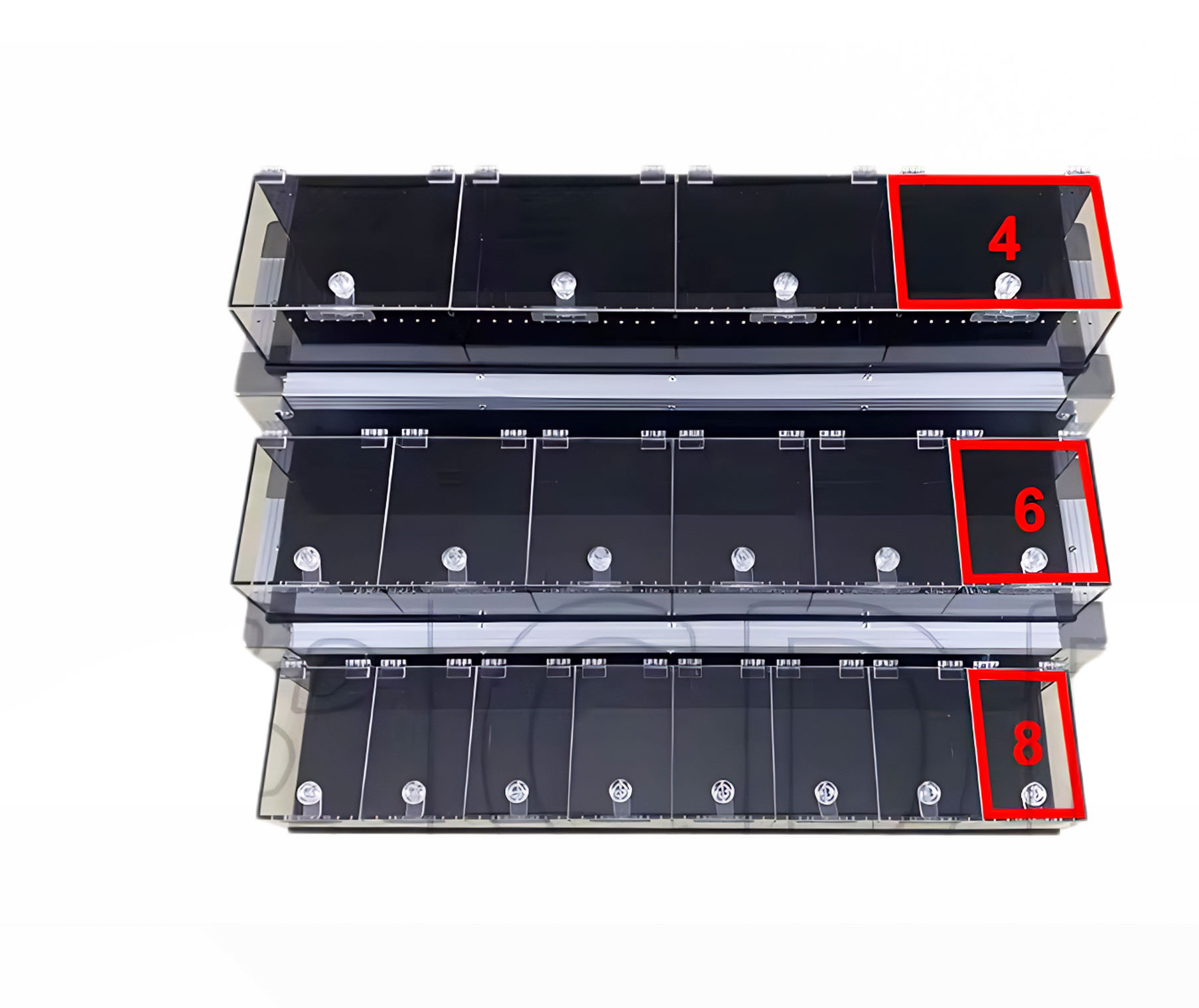โปร่งใส