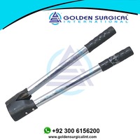Alat Pemotong Tanduk Sapi Berkualitas Tinggi GOLDEN Barnes Metal Handle Veterinary Rasp Horn Cutter Sharp Cutting Bull Veterinary Instruments Model GSIB-100201