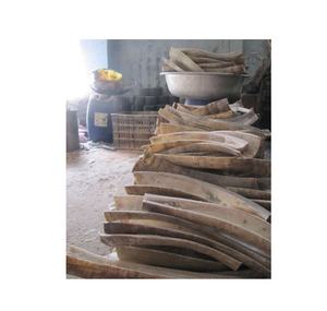 Tira de cuerno de búfalo hecha a mano bloque de tira de cuerno de búfalo para óptica 100% Real a bajo precio - Product Image 3