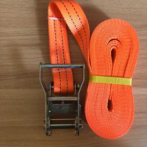 Attaches à cliquet en polyester résistant à la rouille personnalisées de qualité supérieure pour des enceintes sûres et sécurisées - Product Image 1