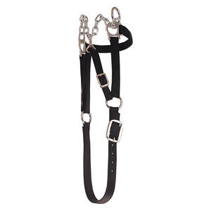 Heavy Duty ajustable Nylon ganado Halter terneros vacas negro ganado restricción Halter ajuste moderno Animal mostrando aseo - Product Image 3