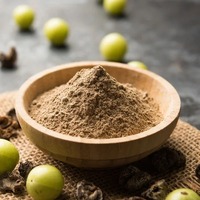 Poudre d'Amla, complément naturel riche en vitamine C pour l'immunité et le sommeil, bien-être ayurvédique traditionnel - Personnes d'âge moyen et âgées