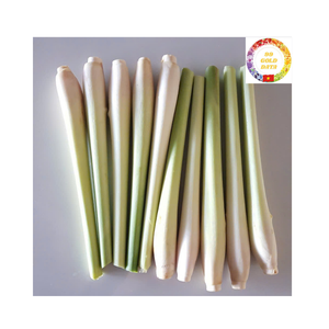 ตะไคร้เวียดนามเกรดดีทั้งชิ้นแช่แข็ง iqf - Product Image 1