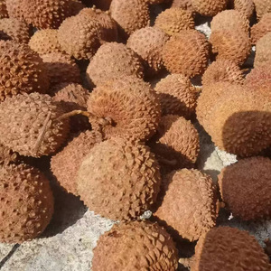 Fruta de lichi seca al por mayor, precio más barato, lichi entero seco, frutas tropicales producidas en Vietnam - Product Image 2