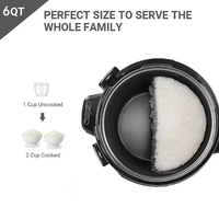 5L 6L 8L 10L Mini Pot Électrique Multifonctionnel Cuisinière Électrique Autocuiseur CE ROHS LFGB CB Temps Préréglage Contrôle Numérique