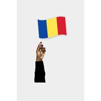Drapeau portable du Tchad 3x5 pieds en nylon avec impression numérique pour l'assurance automobile, l'éducation et les agences de voyage