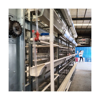 Système d'élevage de poulets automatique à haute efficacité, cage à volailles de type H pour l'élevage moderne