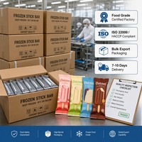 Sachet en plastique Mylar PE personnalisé avec logo thermoscellable en aluminium pour emballage de bâtonnets de crème glacée, de sucettes glacées et de produits surgelés
