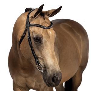 2018-2019 nuevo equipo de cuero Halter de brida de caballo de calidad para carreras ecuestres y de caballos al por mayor - Product Image 1