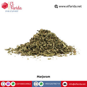 Herbes d'épices en feuilles de marjolaine séchées broyées de qualité superlative largement vendues type de traitement brut avec un processus de séchage supérieur - Product Image 3