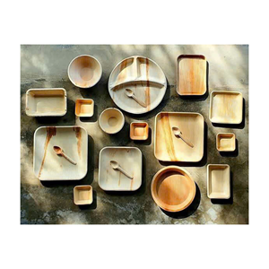 จานใบอารีก้าที่กำลังเป็นที่นิยมสำหรับโซลูชันการรับประทานอาหารที่ยั่งยืน - Product Image 6