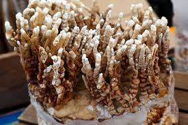 เห็ดเห็ดเห็ดเห็ดแช่แข็งออร์แกนิก 100% ปลูกจากเวียดนาม IQF วิธีแช่แข็งราคาถูก - Product Image 3