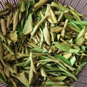 Hojas de lima secas 100% naturales auténticas a granel en bolsa de PE de Vietnam MINA +84325608680 - Product Image 4