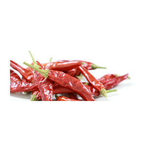 Pimiento Rojo Cayena de Alta Calidad a Bajo Precio, Pimiento Rojo Seco de Bélgica, 18 Meses de Duración, para Cocina China - Product Image 4