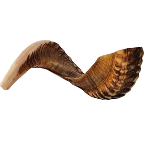 Corne de bélier de meilleure qualité Shofar corne naturelle Shofar pour souffler et à des fins religieuses Shofar casher poli - Product Image 1