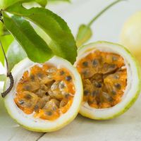 Vas Bunga Markisa Ekuador Desain Gantung Klasik Bahan Digital Tahan Lama 1 Bunga/Tanaman Hijau Kapasitas 80g Huertos Del