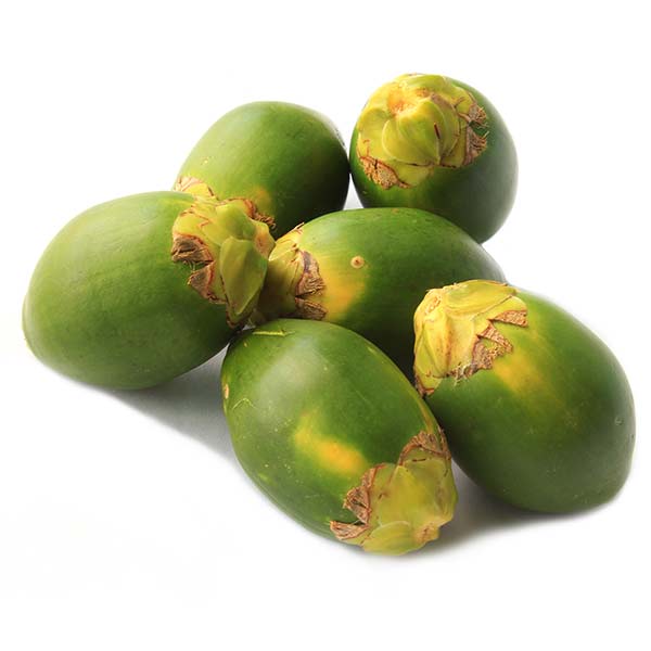 Высококачественные Замороженные орехи Betel, Зеленые орехи Areca из Вьетнама, Молодежные орехи Betel