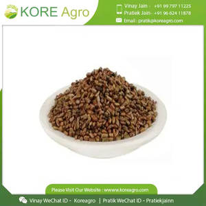 Polvo de semillas de Cassia Tora orgánico puro Premium 100%, hierba seca de origen indio de alta calidad, crudo, sin productos químicos, Industrial sin OGM - Product Image 4