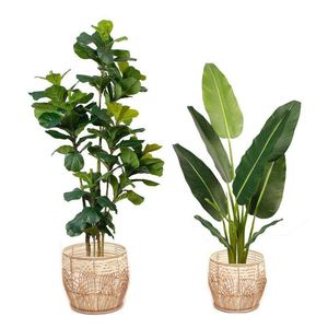 Unique Design Jute Rope Handwoven <b>Planters</b> <b>Pot</b> Basket Wicker Plant <b>Pot</b> with Stand for Indoor and Outdoor Decor - Product Image 5