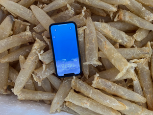 MAW de poisson vietnamien tangasius, poisson-chat, poisson de mer, MAW avec AKINA de haute qualité - Product Image 5