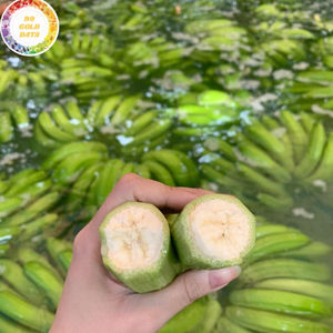 Plátanos Frescos de Alta Calidad para Exportación a Mayoristas de Omán, Provenientes de Vietnam, Mejor Precio para Mayoristas, Listos para Exportar por 99 Gold Data - Product Image 1