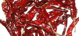 Chile Seco Entero de Alta Picanteza, Estándar de Exportación, Pimiento Rojo Natural para Procesamiento Industrial de Alimentos, Suministro a Granel, Calidad Garantizada - Product Image 3