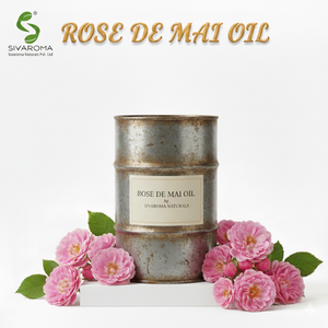 High Quality Rose de Mai <b>Essential</b> <b>Oil</b> Sourced for Cosmetic Brands, Aroma Blends, and Premium Wellness Creations - Product Image 4