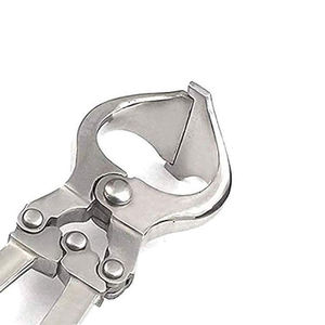 Herramienta de castración de acero inoxidable veterinaria reutilizable Castrator profesional para granja de ganado de cabra oveja de ARMANDIOUS - Product Image 2