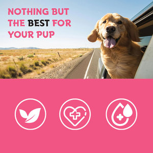 Oem Cat Dog đường tiết niệu nhiễm trùng điều trị & tự nhiên uti Cranberry thận + bàng quang hỗ trợ bổ sung tốt nhất - Product Image 6