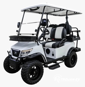 Potente carro de golf multifuncional de alto rendimiento perfecto estado de 4 plazas con batería de litio - Product Image 3