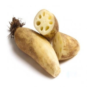 Méthode de congélation IQF LOTUS ROOT FROZEN Directement du Vietnam Sans OGM pour votre repas - Product Image 2