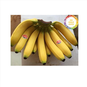 กล้วยสดปลูกตามธรรมชาติผลไม้เมืองร้อนของเวียดนามเหมาะสำหรับขายปลีกขายส่งบริการอาหารและบริโภคในแต่ละวัน - Product Image 5