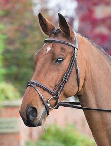 Casque Rembourré Flash Bridle En Gros Nouvelle Haute Qualité Cheval Snaffle Bride En Cuir En Noir - Product Image 5