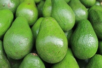 Speciale Aanbieding Premium Kwaliteit Smakelijk Fruit Beste Prijs Romige Hele Bevroren Avocado 1Kg