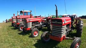 Precio de mercado asequible usado Massey Ferguson Tractor para la venta - Product Image 4