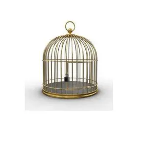 Cage à oiseaux en gros, grandes Cages pour perruches, Cages pour élever des oiseaux, tailles et conception personnalisées