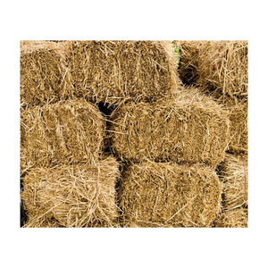 High grade Rhodes <b>grass</b> hay quality <b>dried</b> <b>grass</b> ready for trade quantity orders - Product Image 2
