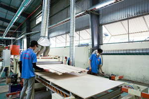 Feuille de placage de bouleau de qualité DE commerciale minimaliste 9-12-15-18-21mm E0 bois de caoutchouc Standard pour la construction de fermes à faible coût - Product Image 5