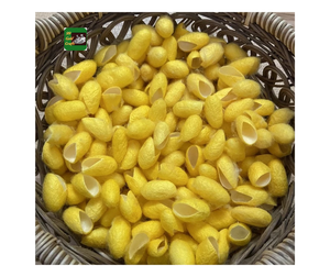 Cocon de soie coton ver à soie Cocon beauté du visage Spa artisanat usine approvisionnement en gros en vrac - Product Image 6