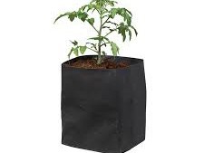 Cocopeat เติบโตกระเป๋าอินเดีย - Product Image 6