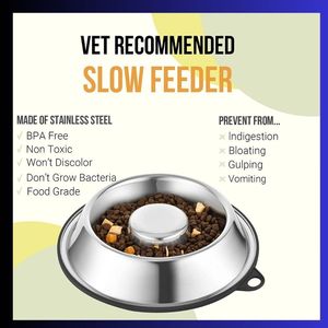 Cuenco para mascotas Popular de Venta caliente Comederos lentos de acero inoxidable fáciles de limpiar para agua y alimentos Cuenco para mascotas de forma redondeada - Product Image 4