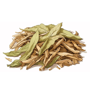 Vente en gros directement du Vietnam Meilleur prix Feuilles de corossol séchées Produit agricole de qualité supérieure - Product Image 2